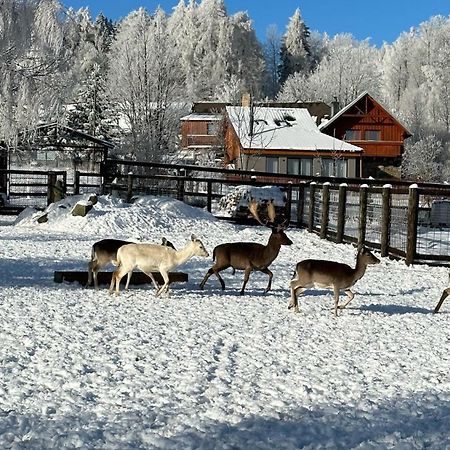 Farma Frantisek Hotel Stachy ภายนอก รูปภาพ