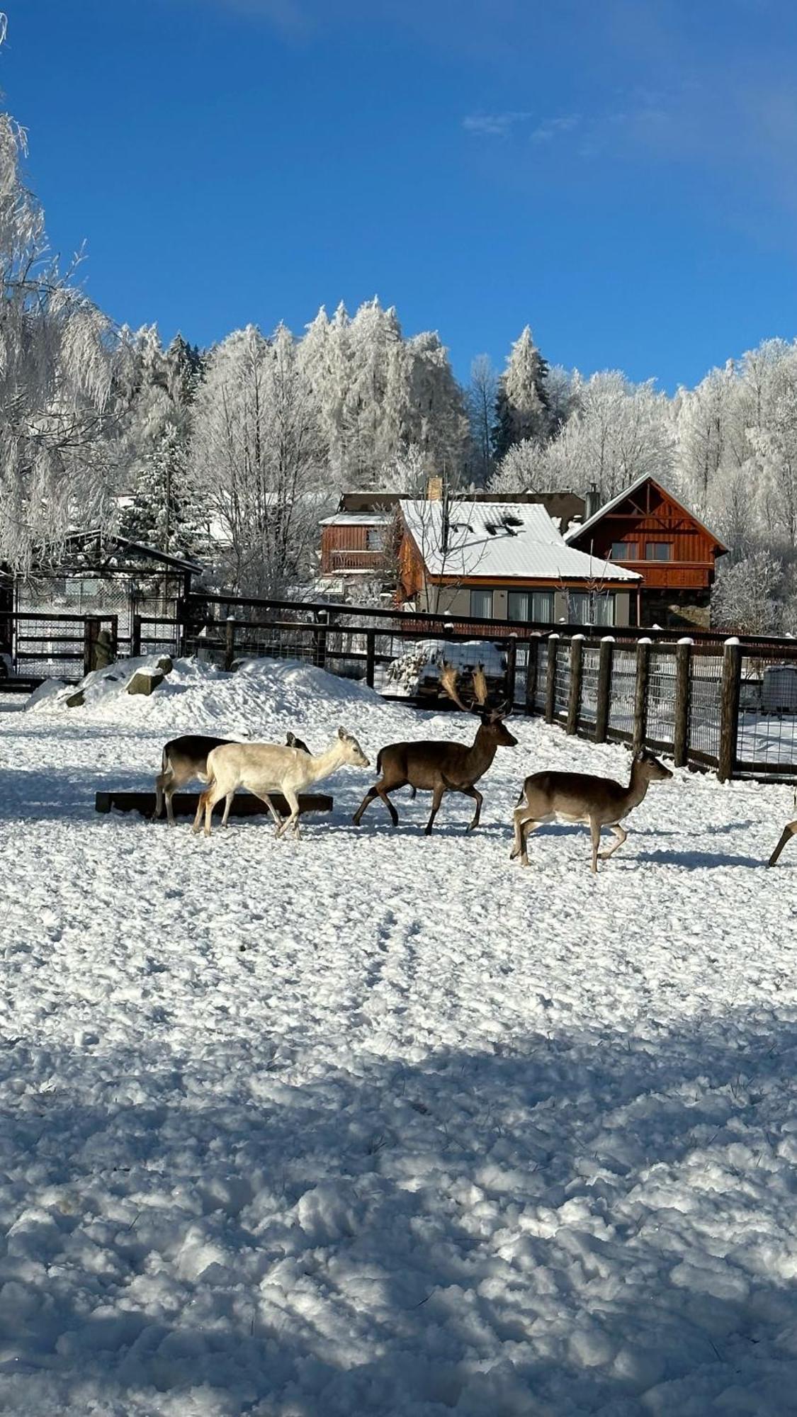 Farma Frantisek Hotel Stachy ภายนอก รูปภาพ