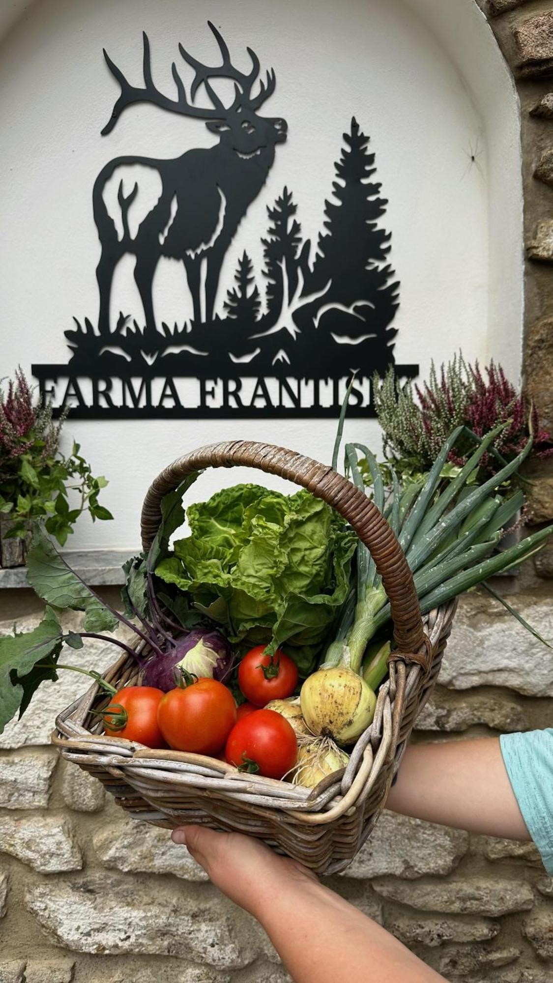 Farma Frantisek Hotel Stachy ภายนอก รูปภาพ